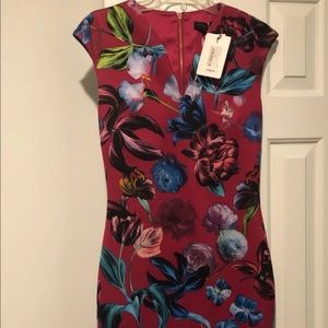 Ted Baker dress 2 US 6
